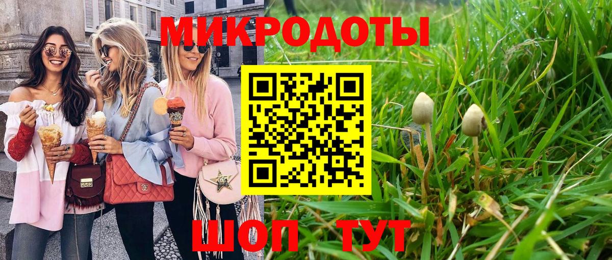 Псилоцибиновые грибы MAGIC MUSHROOMS Рассказово