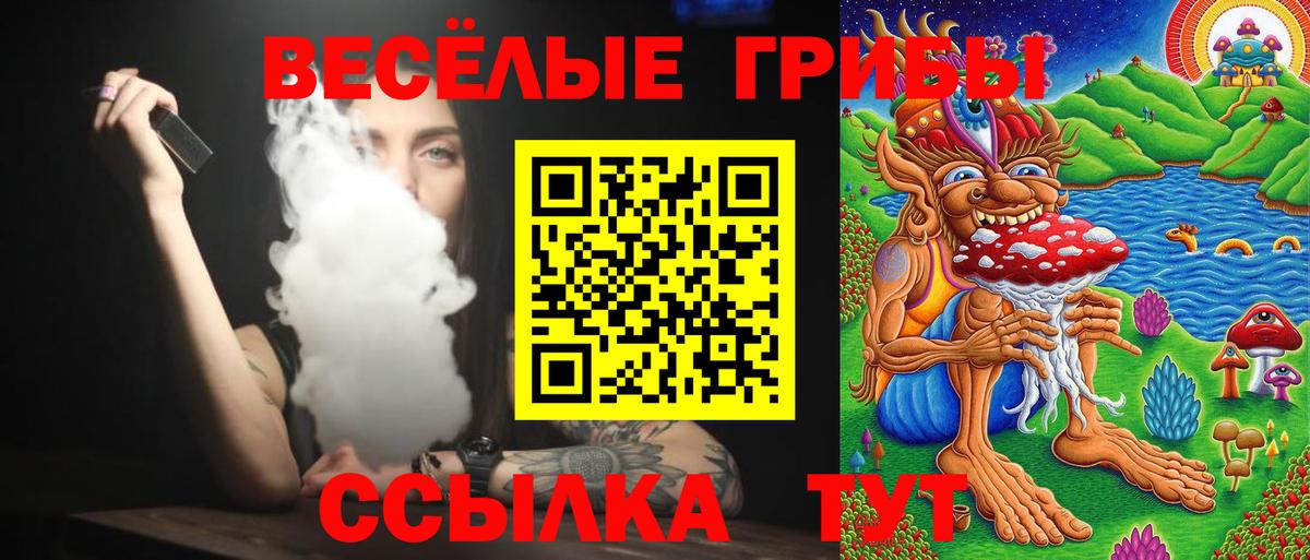 Рассказово  Псилоцибиновые грибы прущие грибы  Вход с VPN 